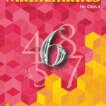 R S AGRAWAL MATH 6