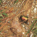 Biology Book Textbook For Class 11th