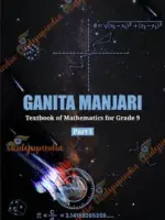 NCERT GANITA MANJARI 9-I